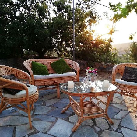 Theasea House With Garden Apartment Riglia Bagian luar foto